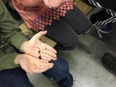 children hold worms in their hands
