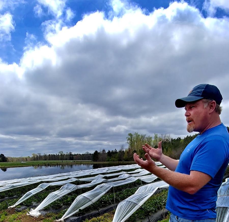 farmer in front of rows of crops