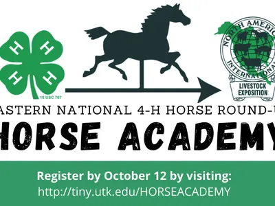 4-H Horse Academy — Eastern National Round-Up. Register by Oct 12: tiny.utk.edu/HORSEACADEMY