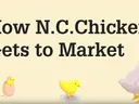 Title screen with text How N.C. Chicken Gets to Market