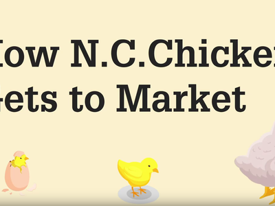 Title screen with text How N.C. Chicken Gets to Market