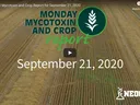 Title screen for September 21, 2020 Monday Mytoxin and Crop Report video
