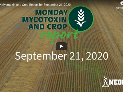 Title screen for September 21, 2020 Monday Mytoxin and Crop Report video