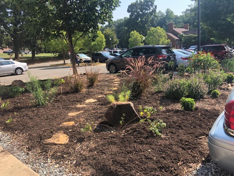 garden bed in parking lot