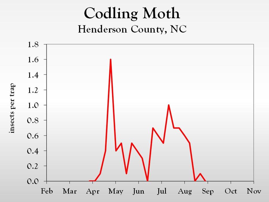 Graph of insect population trends