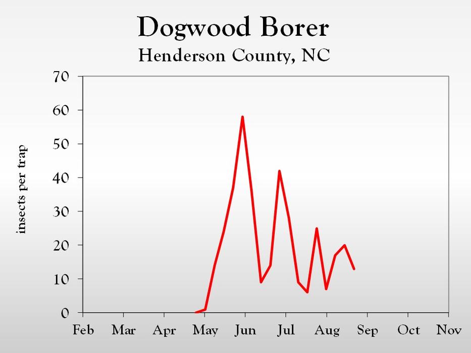 Graph of insect population trends