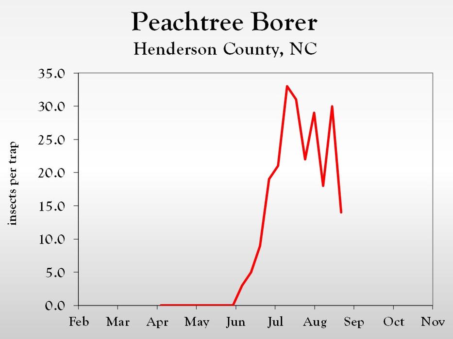 Graph of insect population trends