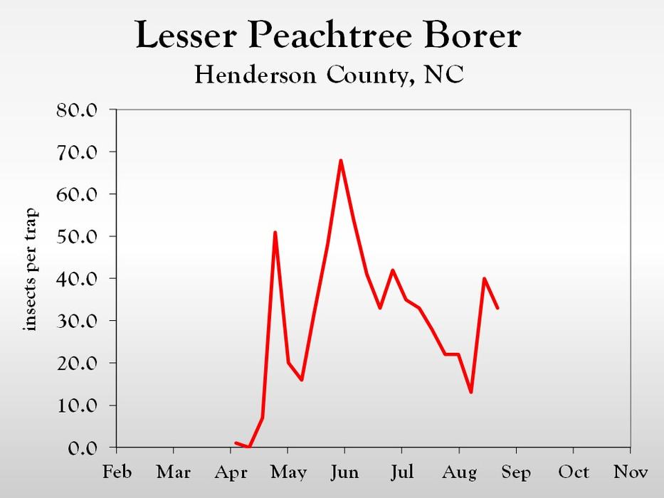 Graph of insect population trends