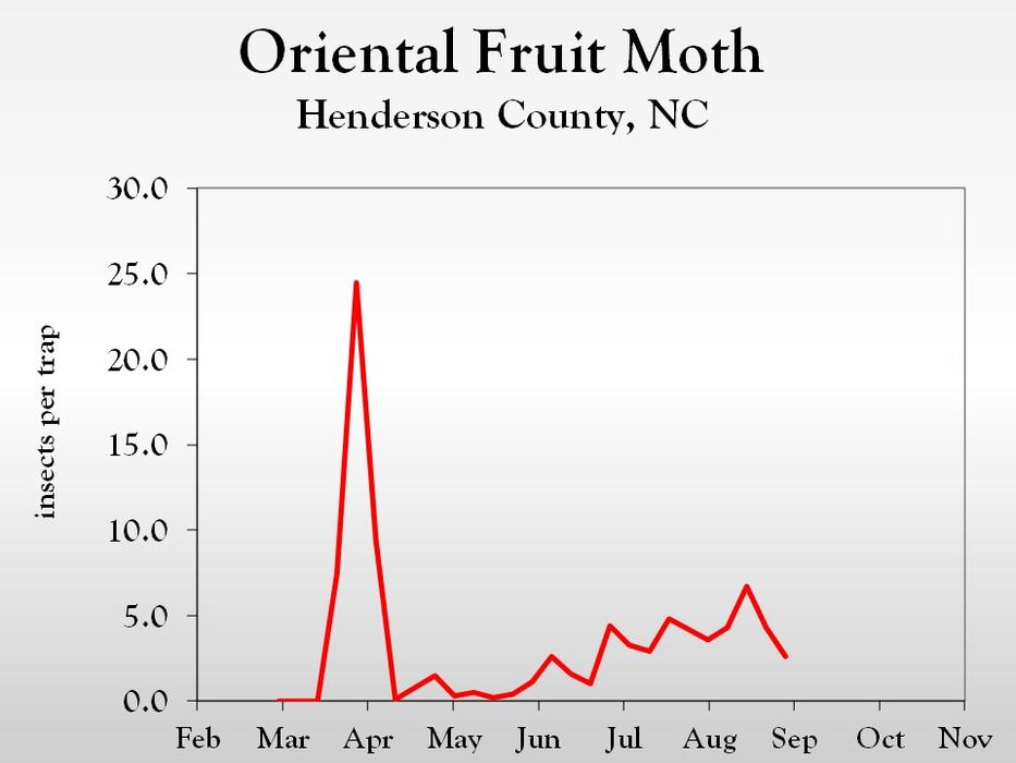Graph of insect population trends