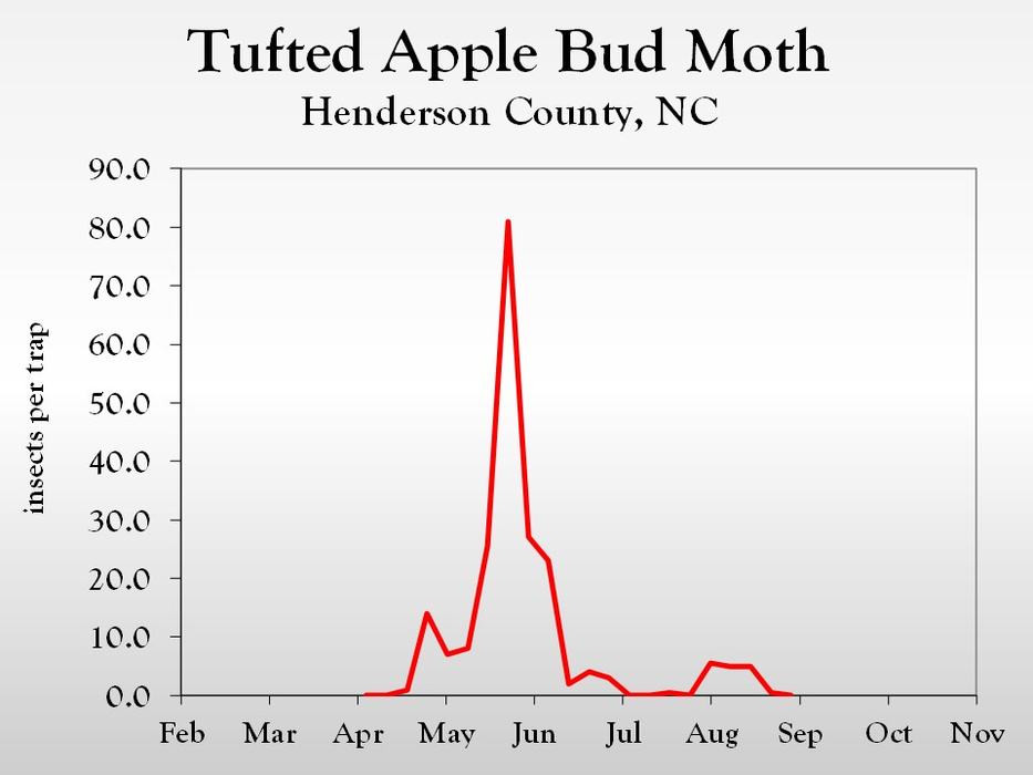 Graph of insect population trends