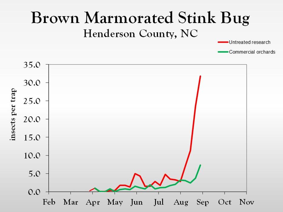 Graph of insect population trends