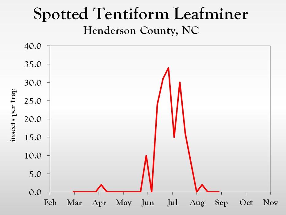 Graph of insect population trends