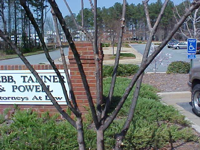 crape myrtle bark sooty mold