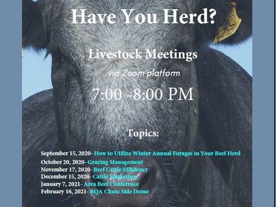 Cow head with text "Have You Herd? Livestock Meetings 7:00–8:00 PM. Register: go.ncsu.edu/haveyouherd"