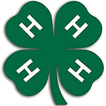 4-H clover logo
