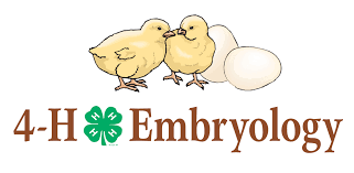 4-H Embryology
