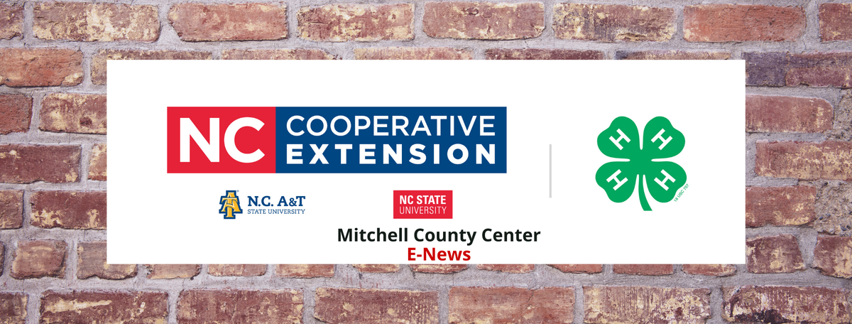 N.C. Cooperative Extension Logo with Mitchell County E-News on it and a brick background