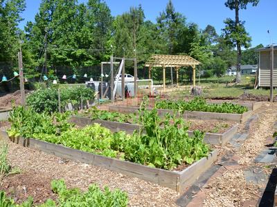 Fairview Community Garden