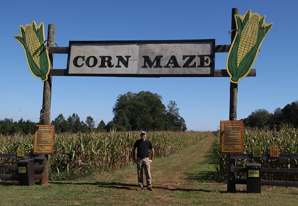 Corn maze