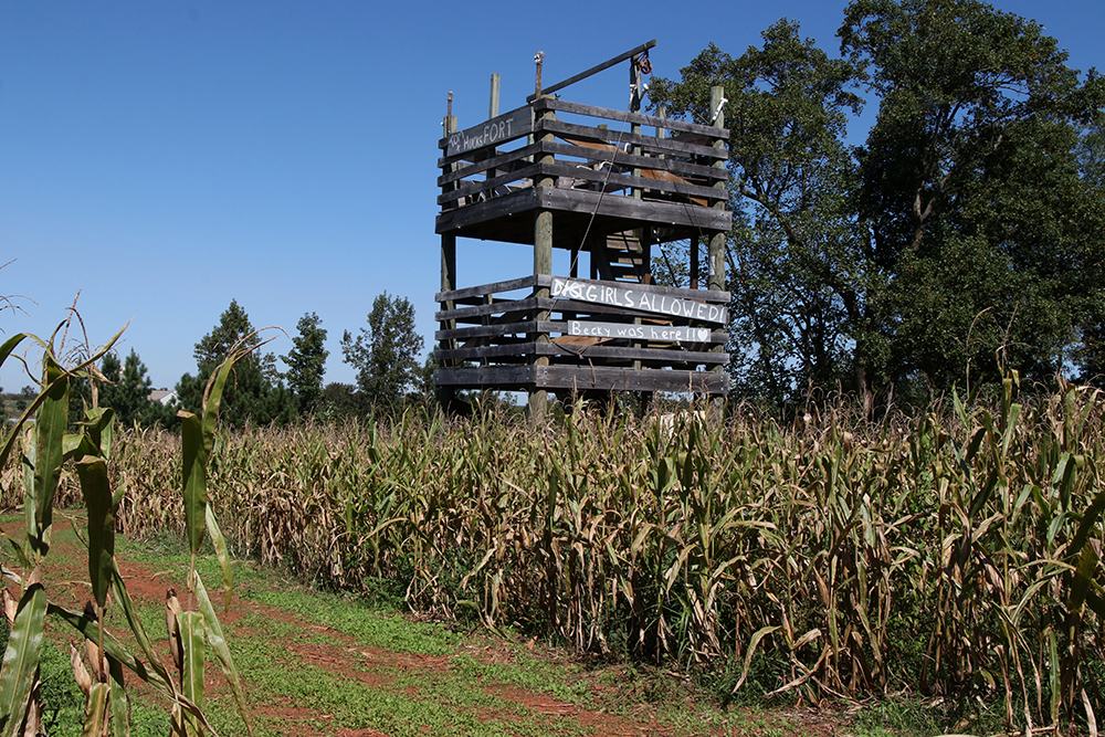 Corn maze tower