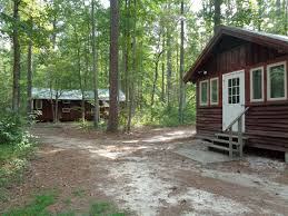 Two brown wooden cabins among tall trees with a dirt path between them