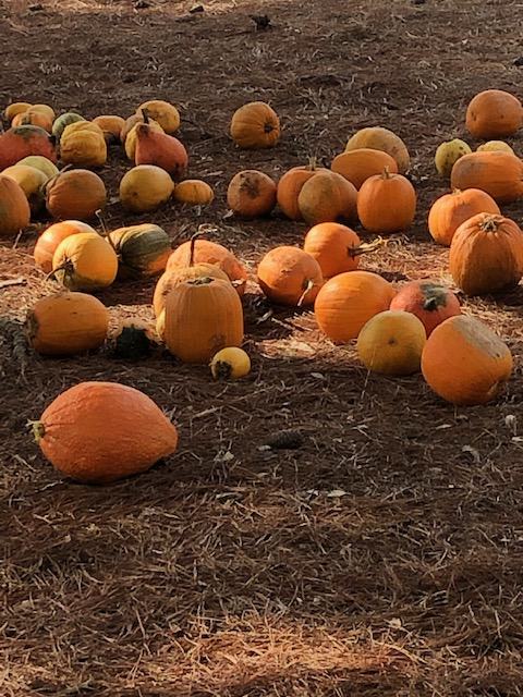 Pumpkins