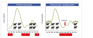 Tall fescue stockpile charts
