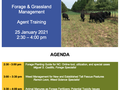Training agenda