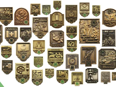 project pins
