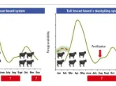 Tall fescue stockpile charts