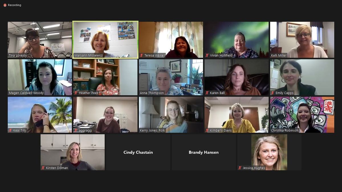Screenshot of Fall NCCEAPA WD meeting 9-29-2020
