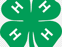 4-H Clover