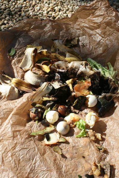 Kitchen scraps “greens” ready for the compost pile. Photo: Chris Alberti CC BY - 2.0