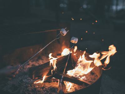 bonfire with smores