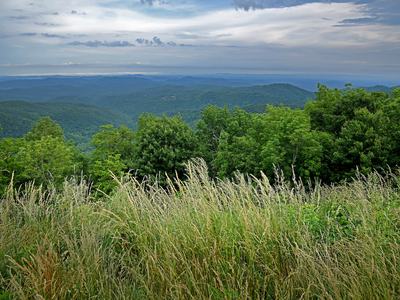 A view from the Blue Ridge Parkway in Western NC.