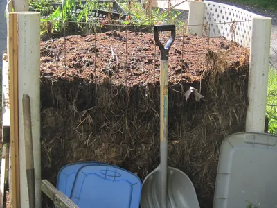 Compost Pile
