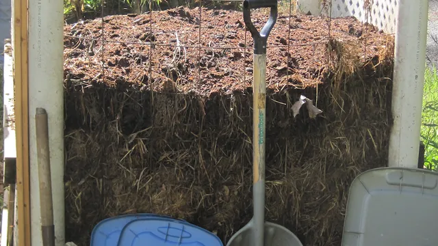 Compost Pile