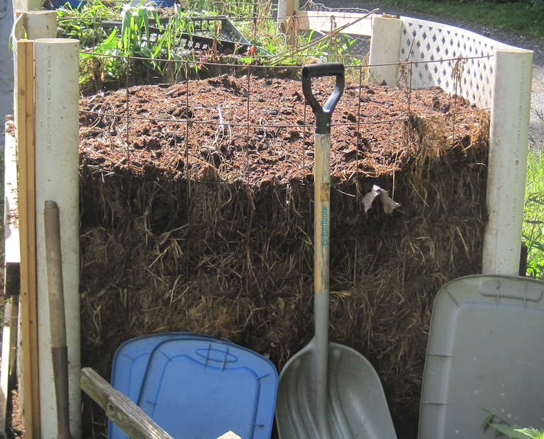 Compost Pile