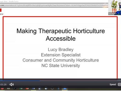 Cover Slide for Presentation