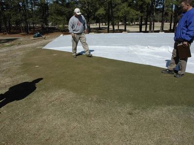 Three men inspecting turf beside a large white tarp on a grassy field
