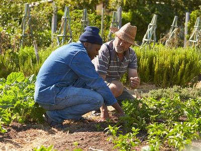 Men Talking by Garden