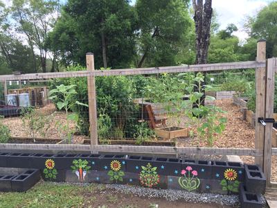 Community garden plots behind wire fence with painted cinderblock border