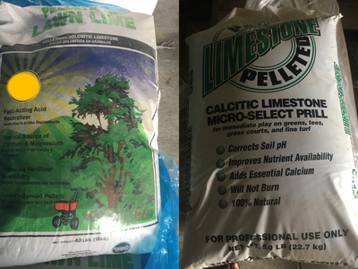 Dolomitic (left) and calcitic (right) liming material. Photo by Hanna Lepsch