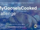 banner with a cooked goose and text The Livestock Conservancy and D'Artagnan Farms Foundation invite you to join the #MyGooseIsCooked challenge