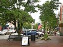 View of downtown city block. Trees line the brick sidewalks seperating the parking lot from the historic storefronts.