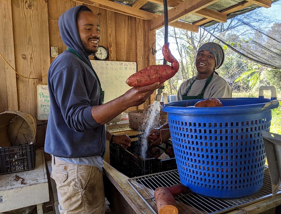 Taij and Victoria wash sweetpotatoes