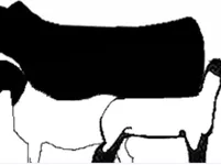Silhouettes of a cow overlapping a goat (left) and a sheep (right)