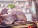 turkey