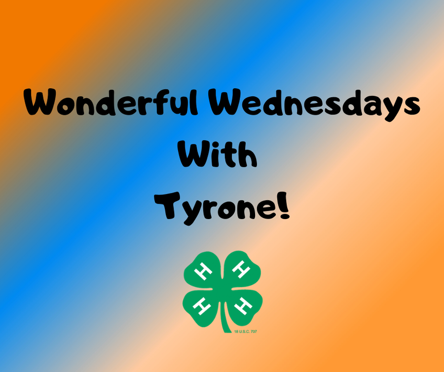 4-H logo