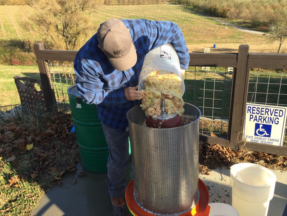 Making apple cider